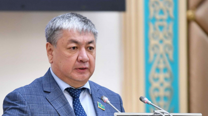 «Қарапайым заттар экономикасы» бағдарламасына бөлінген қаражат басқа салаға жұмсалған – Сенат депутаты