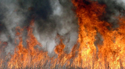 Елорда маңында құрғақ шөп өртенді