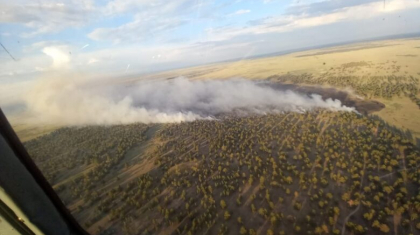 Абай облысында орман өртеніп жатыр