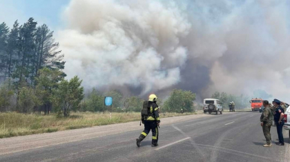 Қарағанды облысында 200 гектар орман өртеніп жатыр