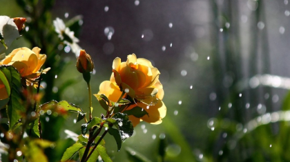 Қазгидромет демалыс күндеріне арналған ауа райы болжамын жариялады