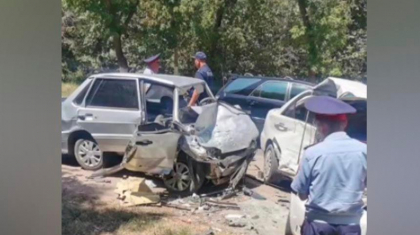 Алматы облысында көлік апатынан 11 жастағы бала қаза тапты