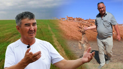 Бес ешкі бағып көрмегендер киік туралы ақыл айтпай-ақ қойсын – БҚО шаруалары