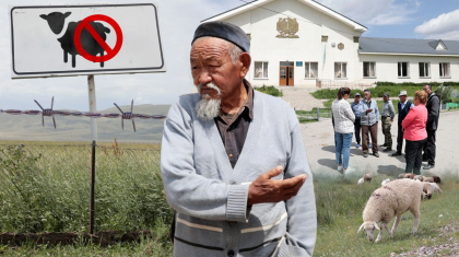 «Көкке әзер жеткен малдың көбі көтерем, қырылу алдында тұр»: әйгілі Шәлкөде жайлауы жекеге өтіп кетті