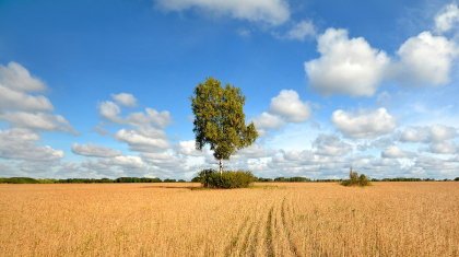 Бүгін Қазақстанның басым бөлігінде ауа райы жауын-шашынсыз болады