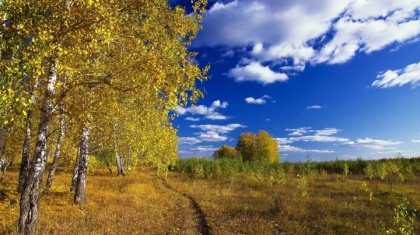 Бүгін еліміздің басым бөлігінде күн райы ашық болады
