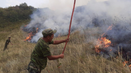 Шығыс Қазақстан облысында орман өртінің ауқымы  ұлғайып барады