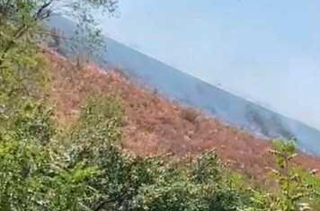 Алматыда тау бөктерінде тұтанған табиғи өртті сөндіруге 100-ден астам адам жұмылдырылды