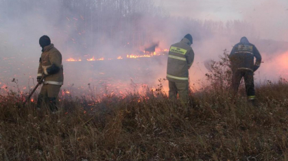 ШҚО-ның төрт ауданында дала өртін сөндіру жұмысы жалғасып жатыр