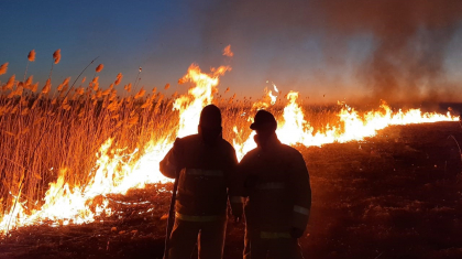 Абай облысының аудандарында шыққан өрт сөндірілді