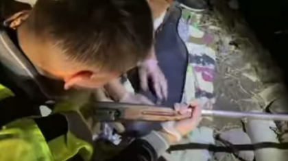 Алматы облысында жасырын орыннан қару-жарақ табылды