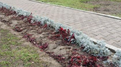Алматыда Gakku дауысы концертінің көрермендері 94 мыңға жуық гүлді таптап кеткен