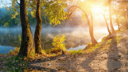 Бүгін еліміздің басым бөлігінде тұман түсіп, жел күшейеді