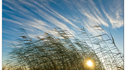 Ауа райы: 7 облыста дауылды ескерту жарияланды