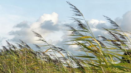 Ауа райына байланысты бірқатар өңірде дауылды ескерту жарияланды