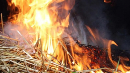 Павлодар облысында 25 гектар жаңа шабылған шөп пен қамыс өртеніп жатыр