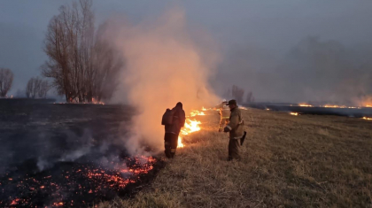 ШҚО-да бір тәулік ішінде 57-ден аса өрт оқиғасы тіркелген