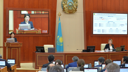 Ажар Ғинаят депутаттарға денсаулық сақтау реформаларының жүзеге асуы туралы баяндады