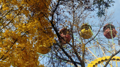 Бүгін Қазақстанның басым бөлігінде күн ашық болады