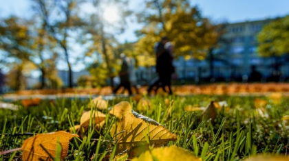 Бүгін Қазақстанның басым аумағында күн ашық және жылы болады