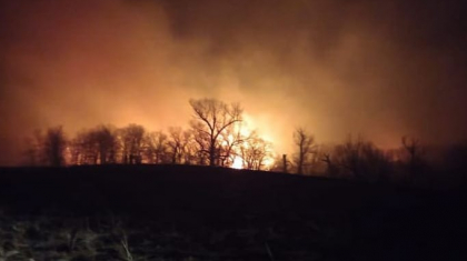 Абай облысының Ертіс орманшылығында өрт шығып, 30-ға жуық адам эвакуацияланды