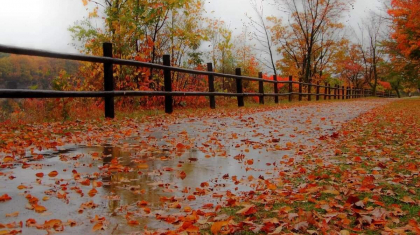 Бүгін еліміздің басым бөлігінде жаңбыр, кей өңірде қар жаууы мүмкін