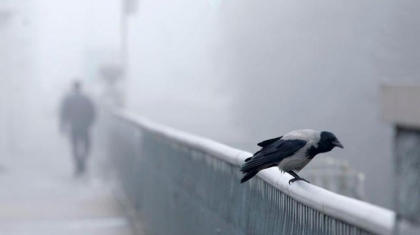 Ауа райы болжамы: Бүгін еліміздің бірнеше өңірінде бұрқасын болып, жел күшейеді