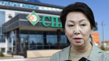 «Әлеуметтік-кәсіпкерлік корпорациясын жою керек» – депутаттар Ұлттық компанияға қатысты дабыл қағуда