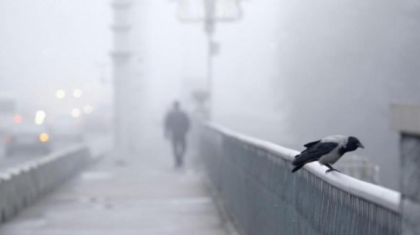 Бұрқасын, тұман, көктайғақ: ауа райына байланысты бірнеше өңірде ескерту жарияланды