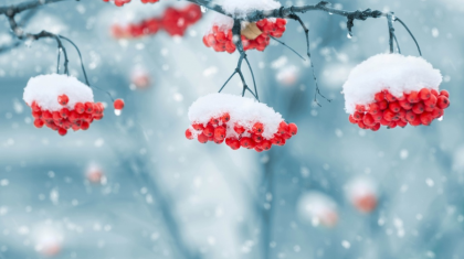 Еліміздің бірқатар өңірінде дауылды ескерту жарияланды