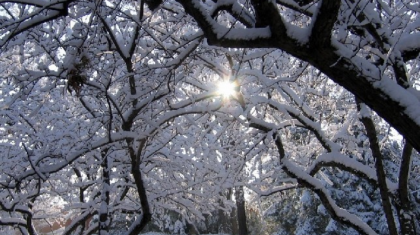 Бүгін елімізде жауын-шашынсыз ауа райы сақталады