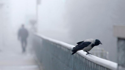 Бүгін еліміздің барлық өңірінде тұман, көктайғақ болады