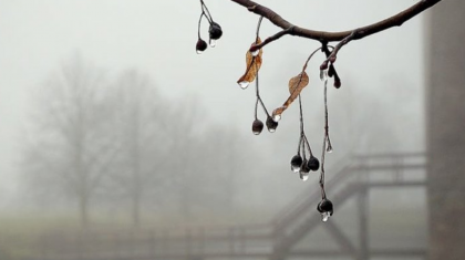 Жел, тұман, көктайғақ: еліміздің бірнеше өңірінде ауа-райына байланысты ескерту жарияланды