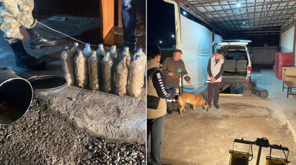 ҰҚК шекарадан ірі көлемде есірткі алып өтпек болған шетелдікті ұстады