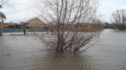 Шаған өзенінде су деңгейі көтерілді: Оралда 50-ге жуық саяжай су астында қалды