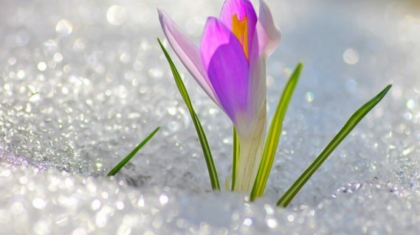 Тұман түсіп, жел күшейеді: Жексенбіге арналған ауа райы болжамы