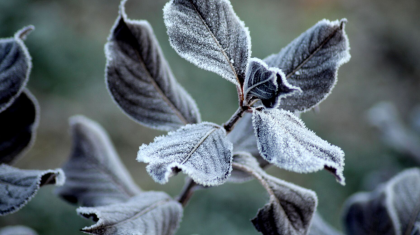 Еліміздің бірнеше өңірінде ауа райына байланысты ескерту жарияланды
