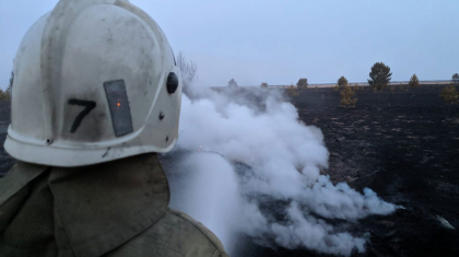 Павлодар облысында орманнан шыққан өрт Ресей аумағына өткен