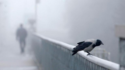 Ертең еліміздің басым бөлігінде тұман түсіп, үсік жүреді