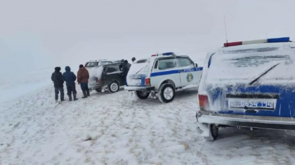 Павлодар облысында боранды күні мал іздеуге шыққан әйелдің денесі табылды