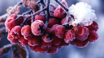 Еліміздің бірқатар өңірінде ауа райына байланысты ескерту жарияланды