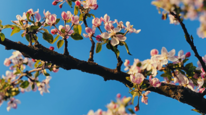 Ертең еліміздің басым бөлігінде жауын-шашынсыз ауа райы сақталады