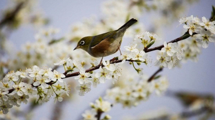 Алдағы демалыс күндері елімізде ауа райы қандай болады