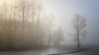 Еліміздің 9 өңірінде ауа райына байланысты ескерту жарияланды