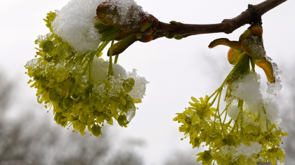 Ауа райына байланысты он аймақта ескерту жарияланды