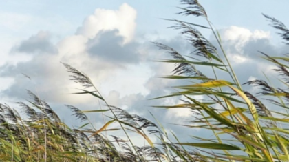 Жел күшейіп, үсік жүреді: синоптиктер бүгінгі күннің ауа райы болжамын жариялады