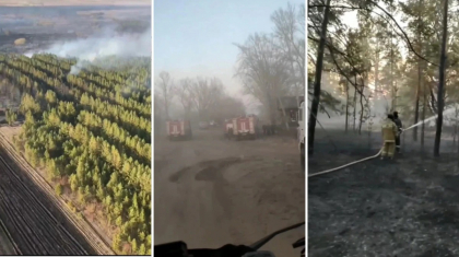 Павлодар облысынан Ресей аумағына көшкен орман өртіне кінәлі адам ұсталды