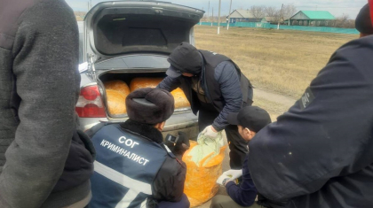 СҚО-да соңғы он жылдағы ең ірі есірткі партиясы тәркіленді