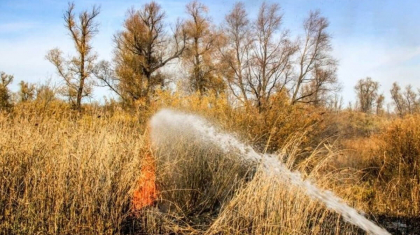 Күн жылынғалы елімізде 120-дан астам табиғи өрт болған
