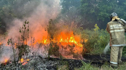 Абай облысындағы өртті сөндіру жалғасып жатыр